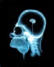 Avatar du membre